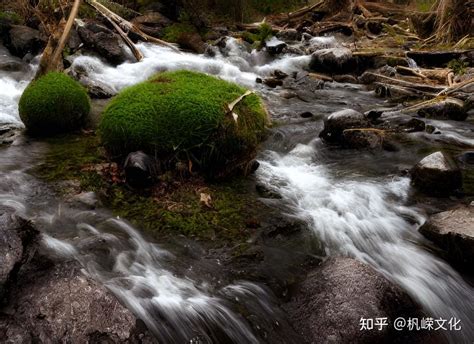 癸水 戊土|【八字命理】基础理论逻辑——癸水